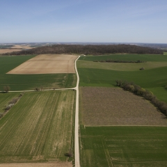 Photo n°1 Site archéologique des Bouchauds - Espace d'Interprétation du Gallo-Romain