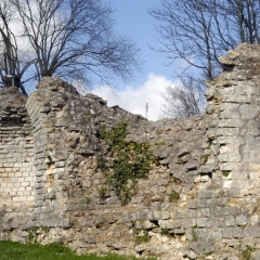Photo n°3 Musée et sites archéologiques