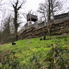 Photo n°3 Coriobona Village Gaulois