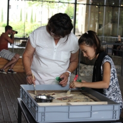 Photo n°0 Site-musée gallo-romain Vesunna, Périgueux