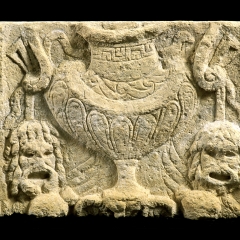Photo n°3 Site-musée gallo-romain Vesunna, Périgueux
