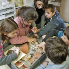 Photo n°4 Site-musée gallo-romain Vesunna, Périgueux