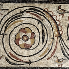 Photo n°19 Site-musée gallo-romain Vesunna, Périgueux