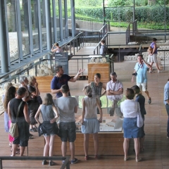 Photo n°2 Site-musée gallo-romain Vesunna, Périgueux