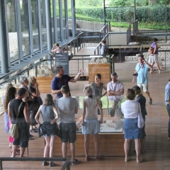 Photo n°13 Site-musée gallo-romain Vesunna, Périgueux