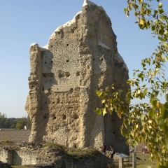 Photo n°1 Site gallo-romain de vieux-Poitiers