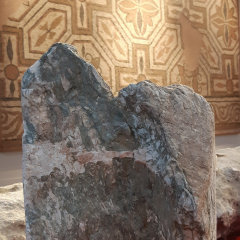 Photo n°5 Musée gallo-romain et site archéologique de la villa de Lalonquette