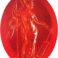 Photo n°0 Musée de Rauranum